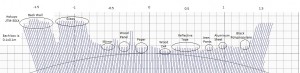 Hokuyo Point Cloud