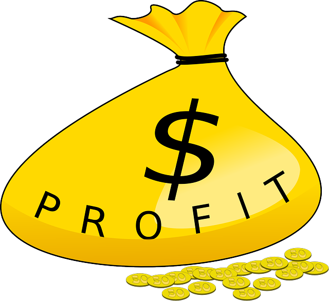 For Profit